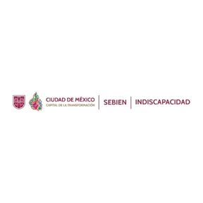 LOGO INDISCAPACIDAD