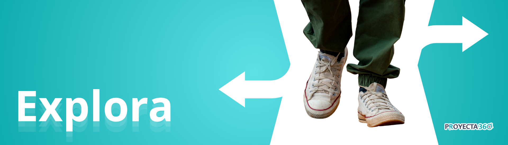 Banner INSP