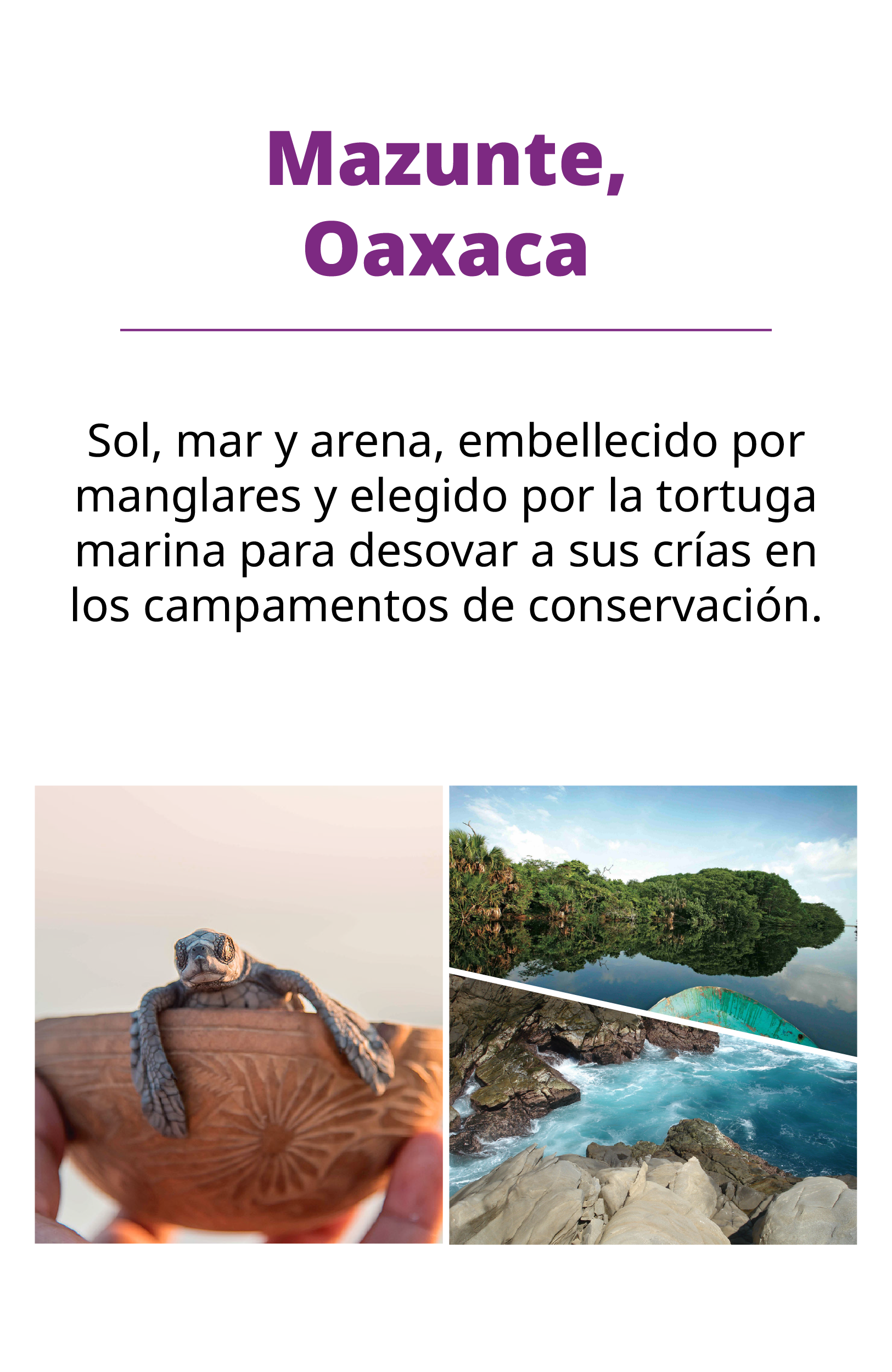 slide 6 Mazunte, Oaxaca