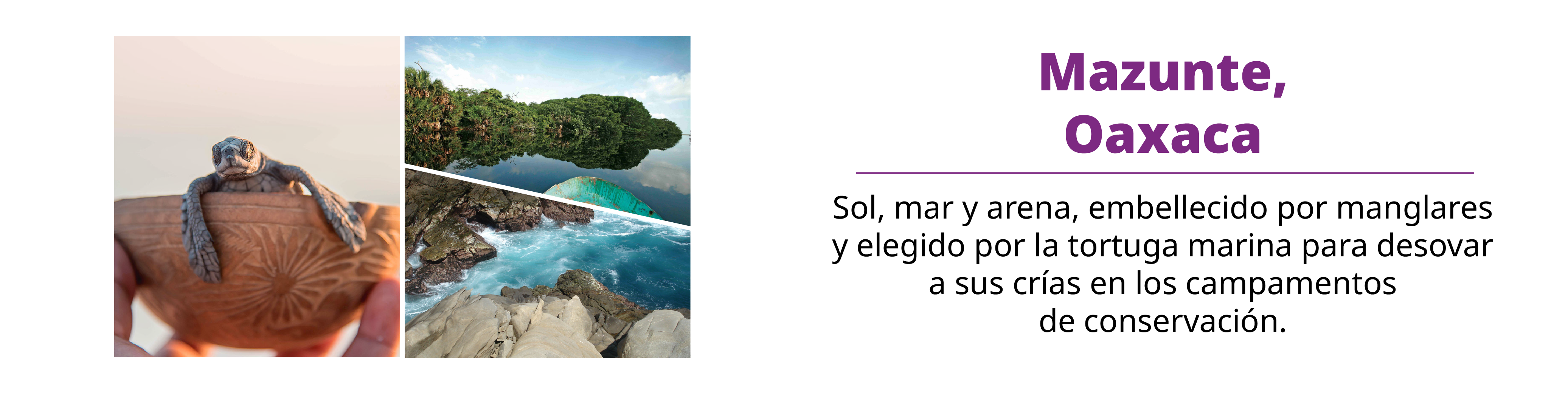 slide 6 Mazunte, Oaxaca