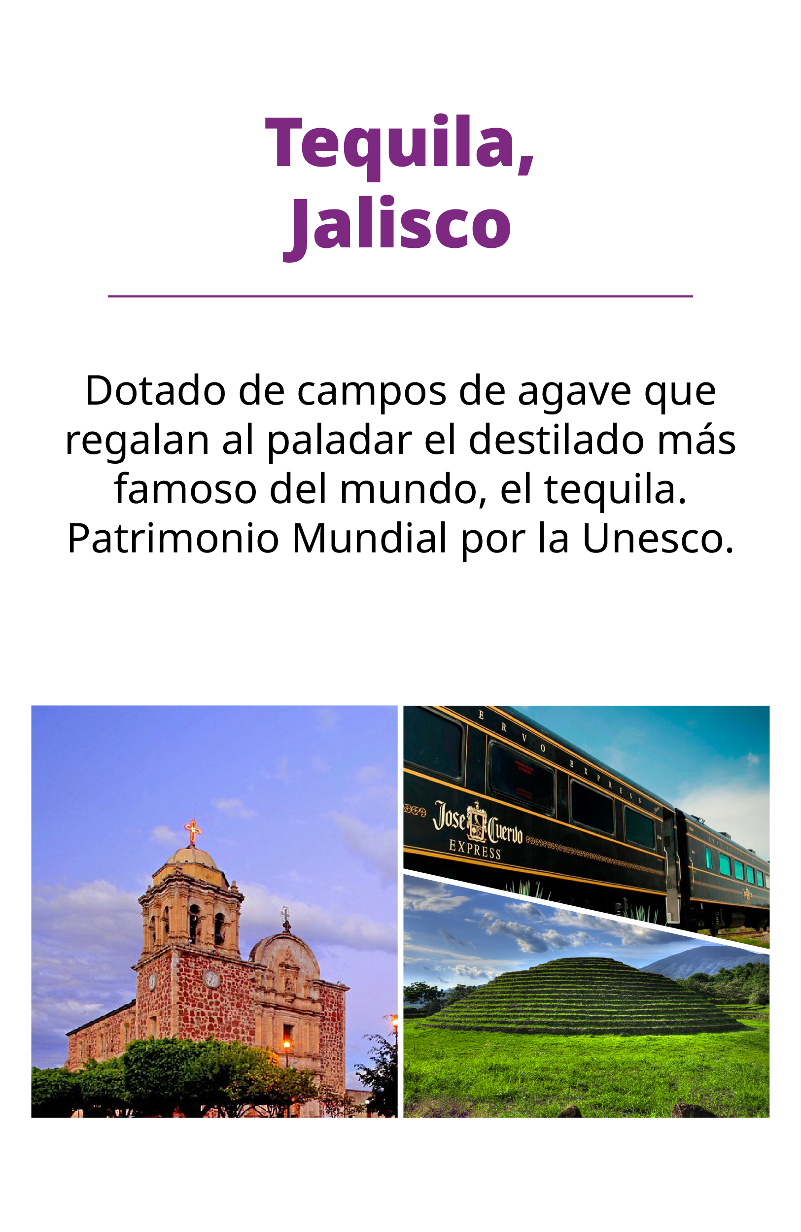 slide 5 Tequila, Jalisco