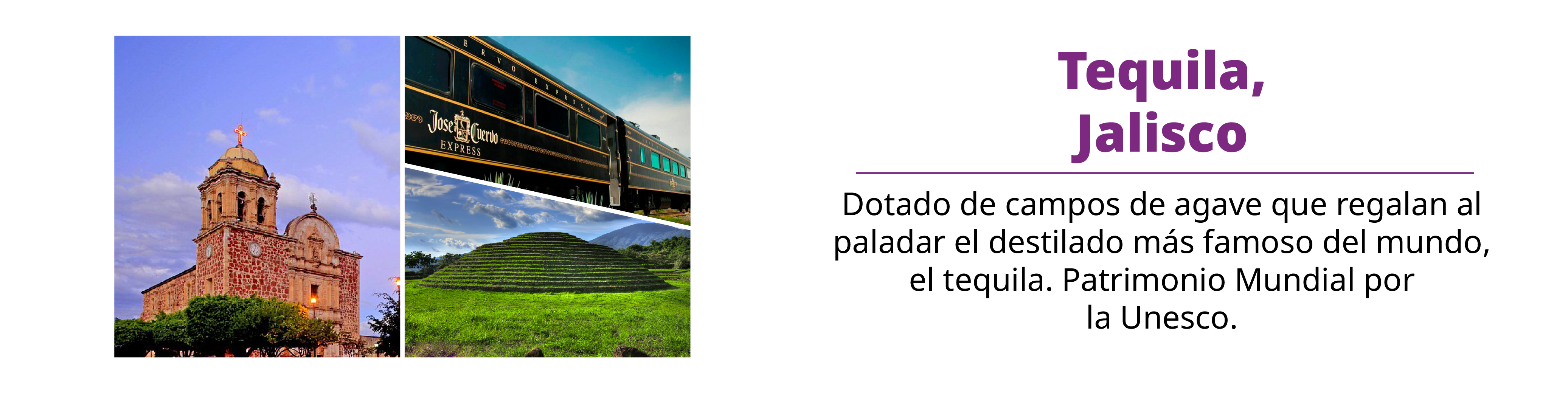 slide 5 Tequila, Jalisco