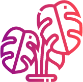 icono_jardines_botánicos