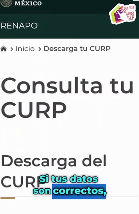 ¿Necesitas tu CURP en PDF?