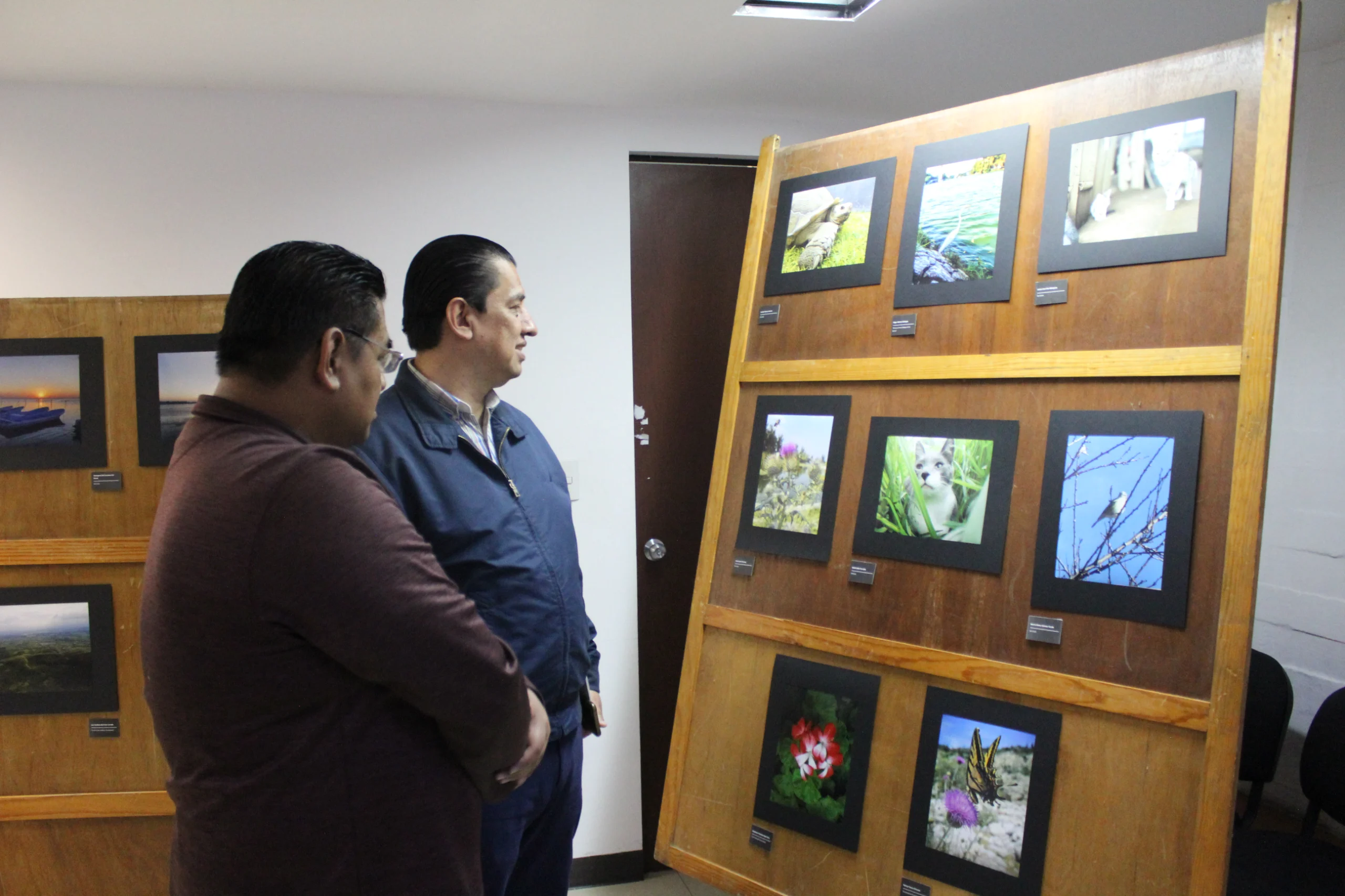 Exposicion fotografica