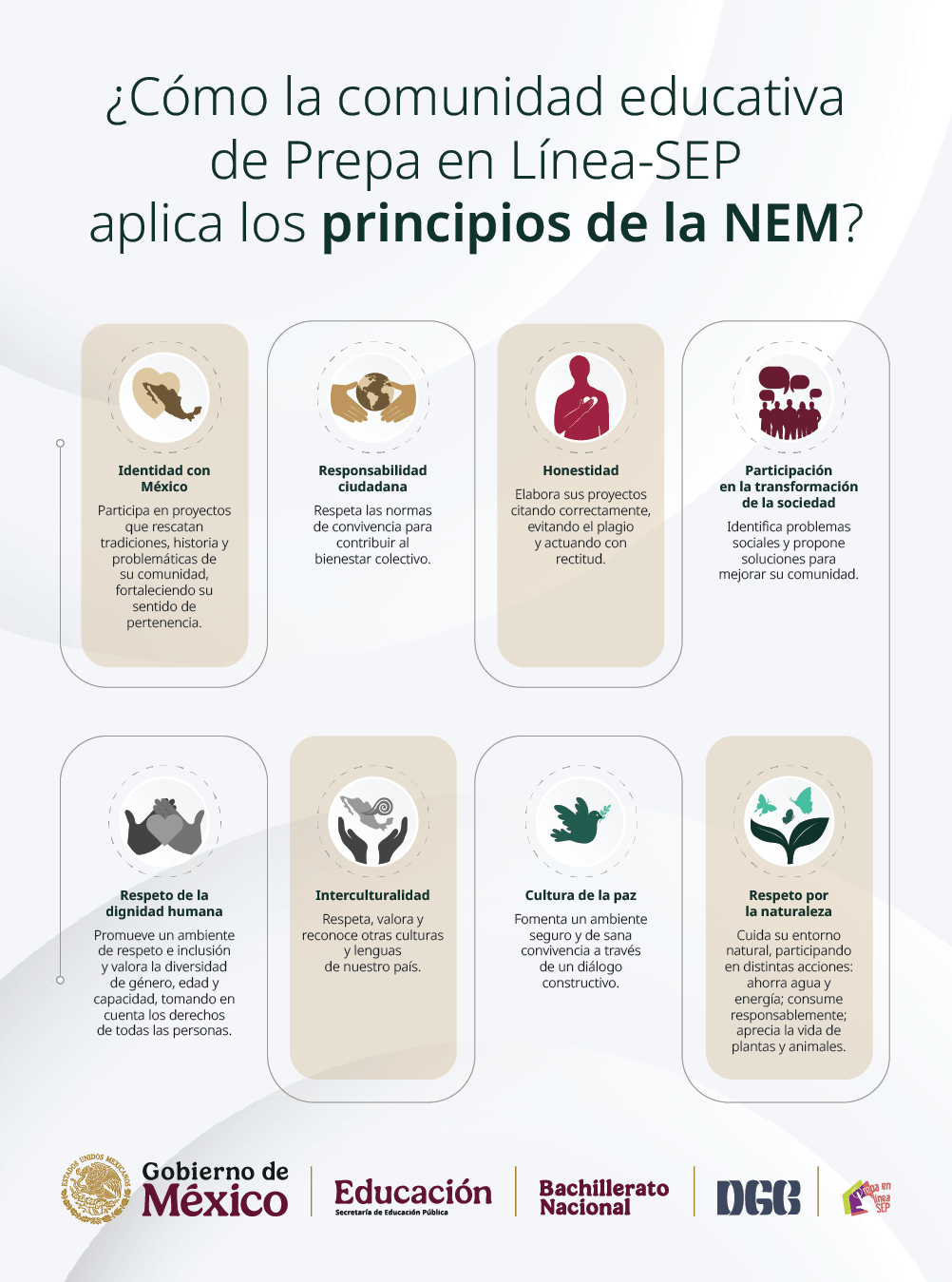 Infografía NEM