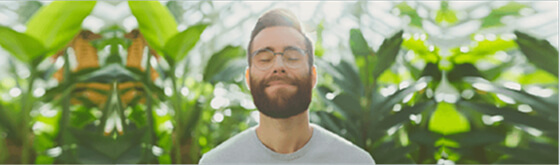 Description of image