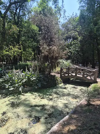 Bosque de Aragón