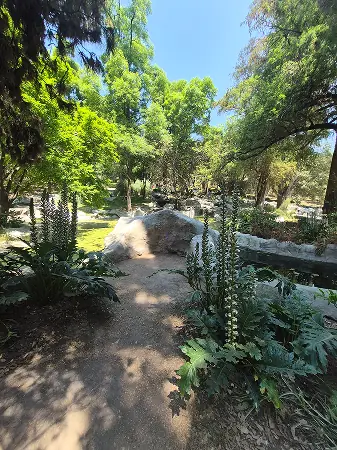 Bosque de Aragón