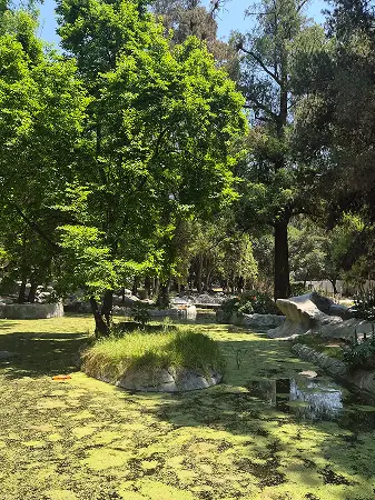 Bosque de Aragón