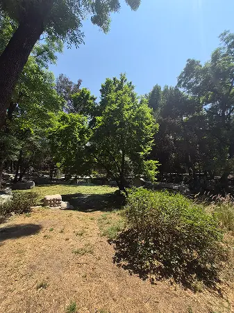 Bosque de Aragón