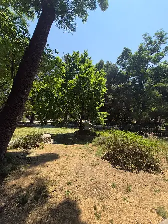 Bosque de Aragón