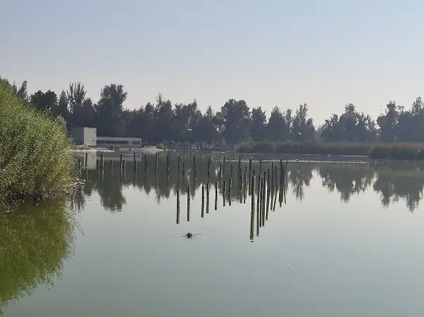 Bosque de Chapultepec 