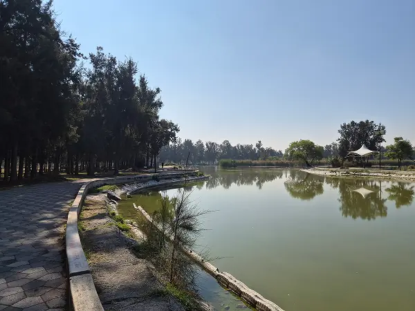 Bosque de Chapultepec 