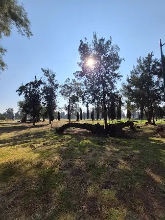 Bosque de Chapultepec 