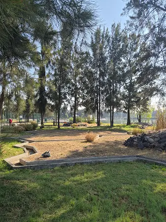 Bosque de Chapultepec 
