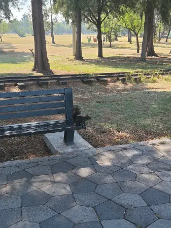 Bosque de Chapultepec 