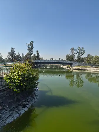 Bosque de Chapultepec 