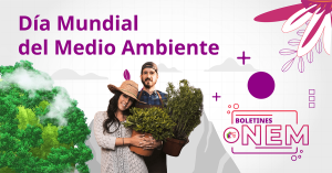 Compromiso ambiental desde la DGB: estudiantes que transforman su entorno