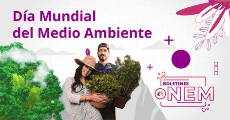 Compromiso ambiental desde la DGB: estudiantes que transforman su entorno