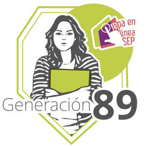 escudo 89